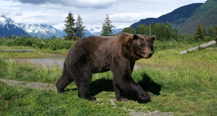 KONICA MINOLTA DIGITAL CAMERA