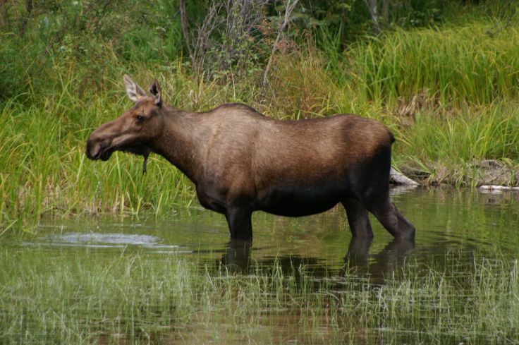 KONICA MINOLTA DIGITAL CAMERA