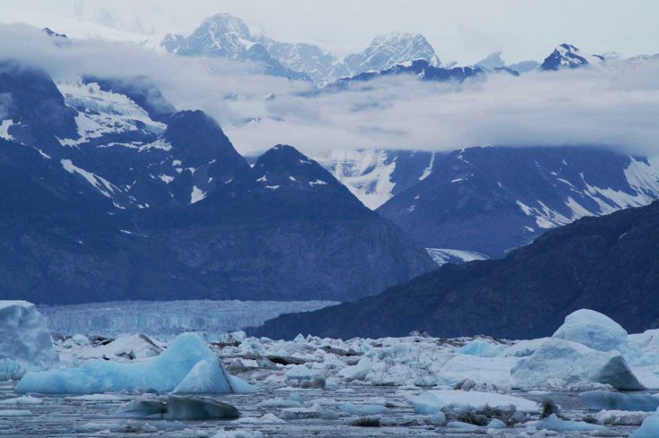 KONICA MINOLTA DIGITAL CAMERA