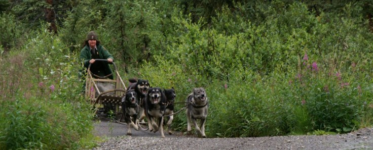 KONICA MINOLTA DIGITAL CAMERA