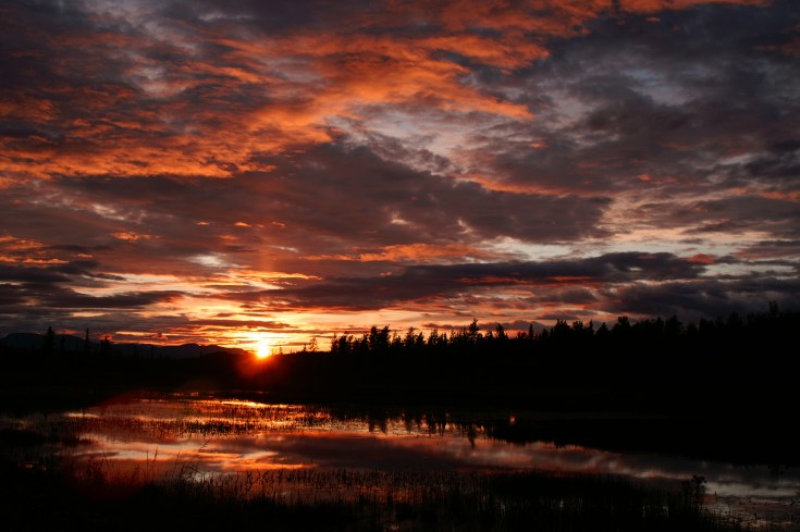 KONICA MINOLTA DIGITAL CAMERA