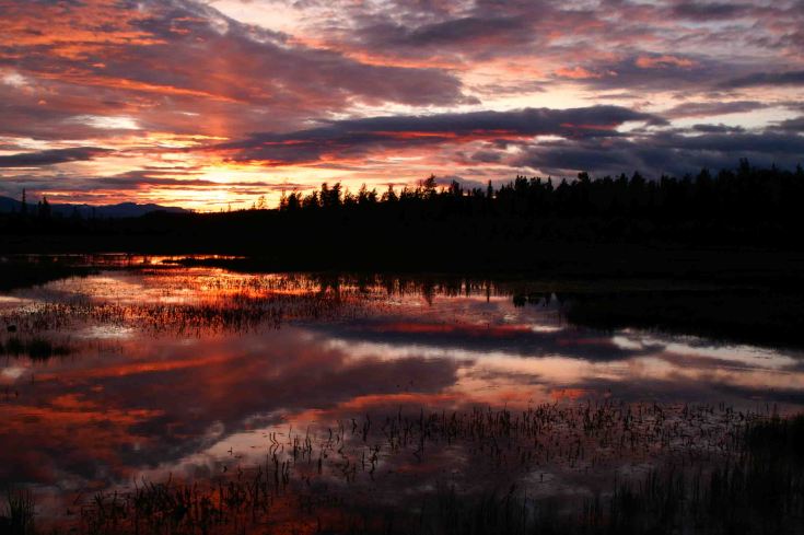 KONICA MINOLTA DIGITAL CAMERA