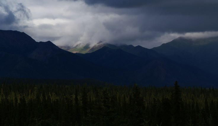 KONICA MINOLTA DIGITAL CAMERA