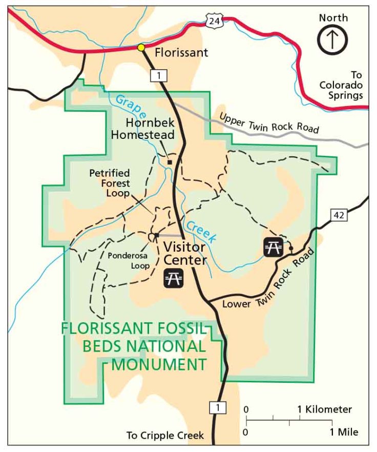 FLFOmap1 [Converted].ai