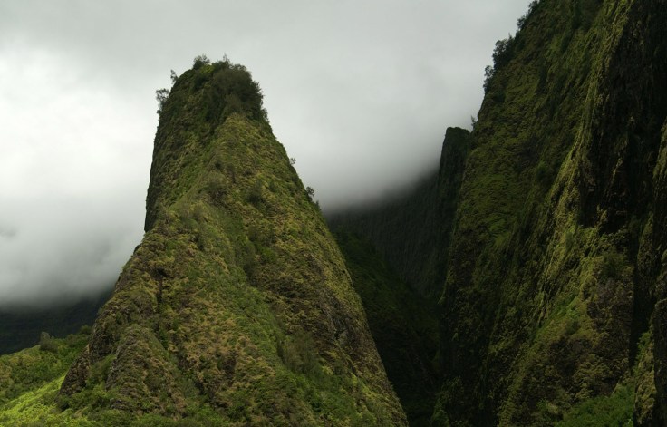 KONICA MINOLTA DIGITAL CAMERA