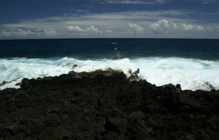 KONICA MINOLTA DIGITAL CAMERA