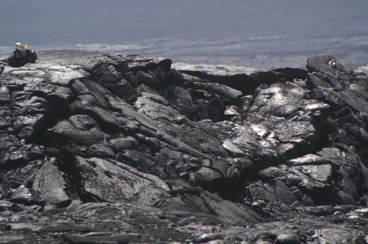 KONICA MINOLTA DIGITAL CAMERA