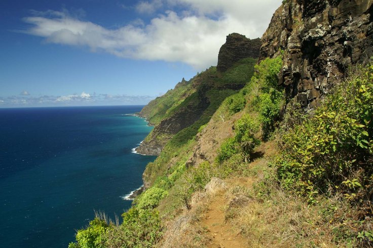 KONICA MINOLTA DIGITAL CAMERA