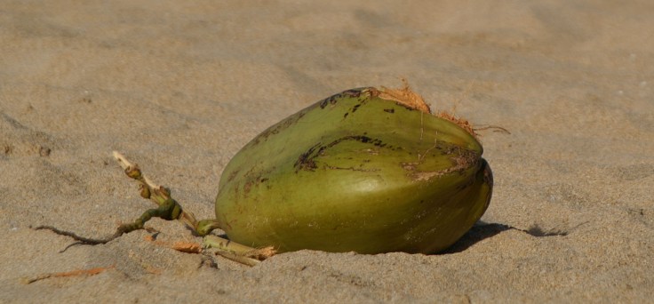 KONICA MINOLTA DIGITAL CAMERA