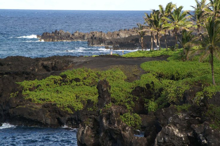 KONICA MINOLTA DIGITAL CAMERA