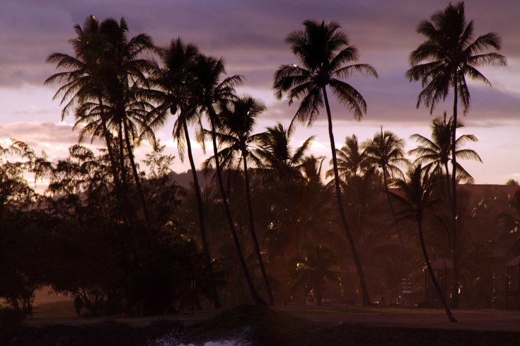 KONICA MINOLTA DIGITAL CAMERA