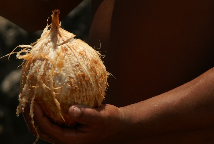 KONICA MINOLTA DIGITAL CAMERA